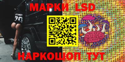 скорость Кинель