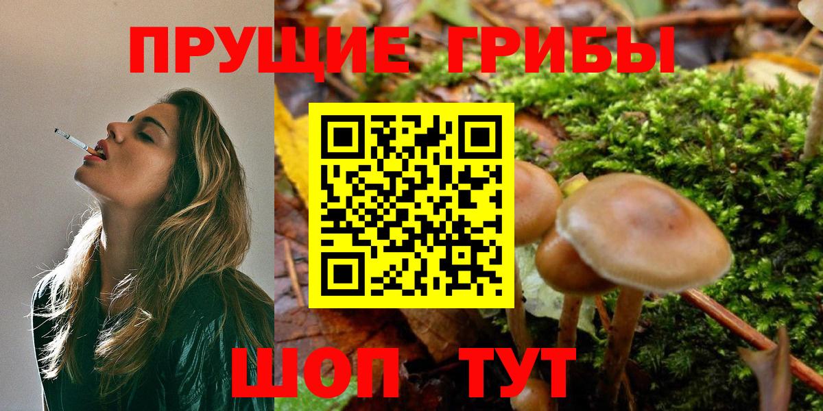 Псилоцибиновые грибы ЛСД Красноярск