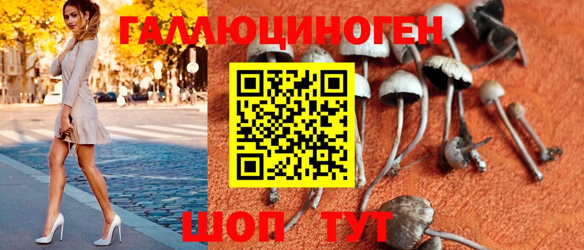 Галлюциногенные грибы MAGIC MUSHROOMS  Вход с VPN  Красноярск 